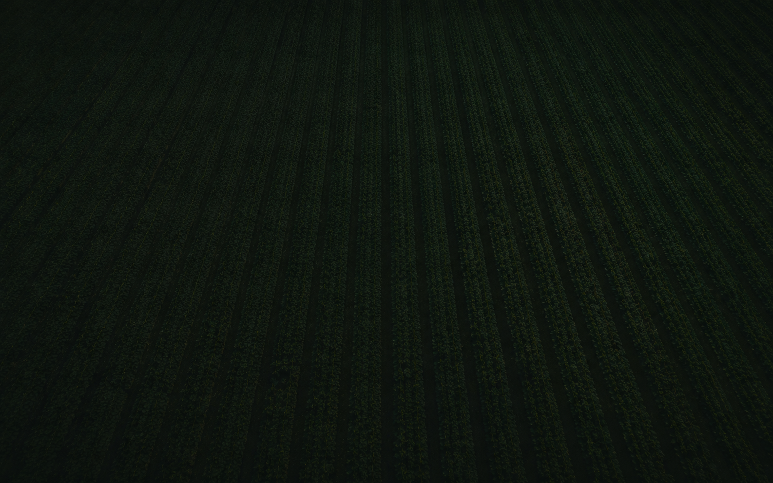 Agralon farm field
